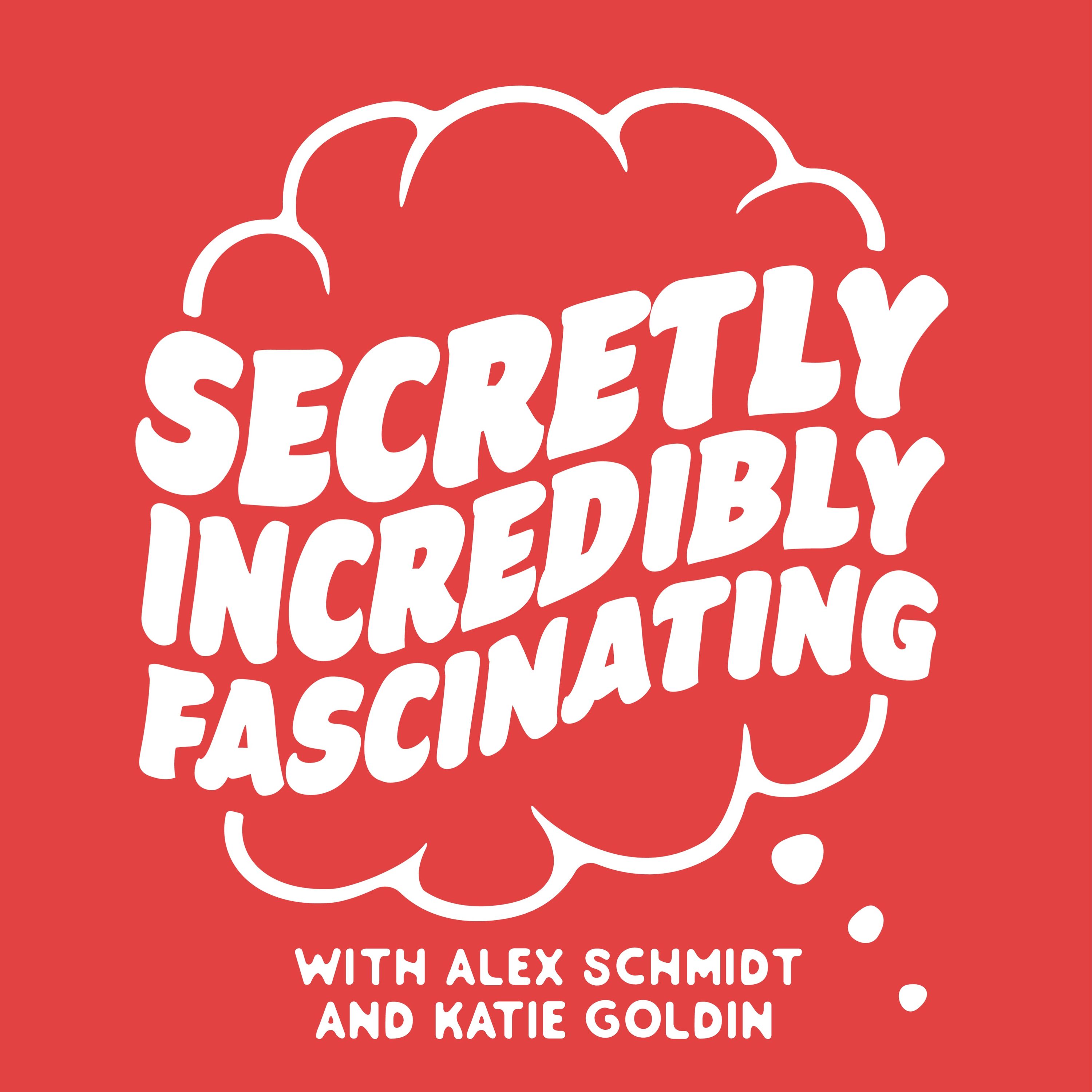 Secretly Incredibly Fascinating Cover